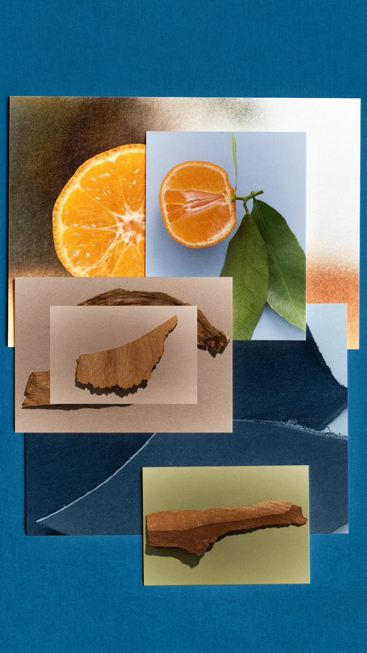 Memo Paris | Ocean Leather | Eau de Parfum