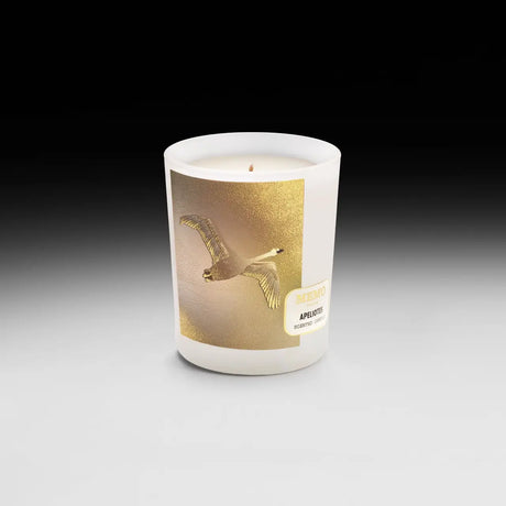 Apeliotes - Scented candle | Memo Paris