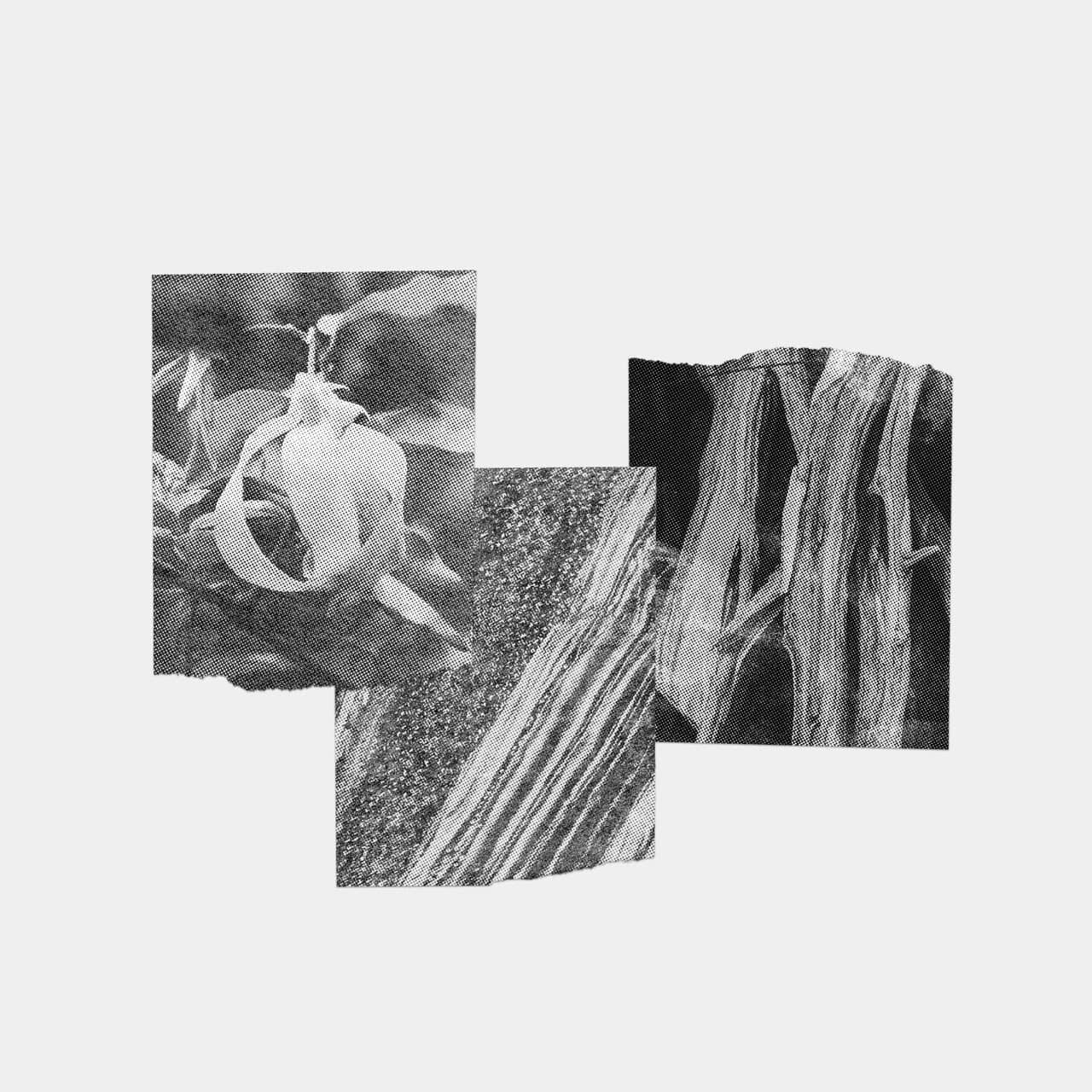 The image features a collage of black-and-white photographic fragments, including textures like wood grain and foliage.